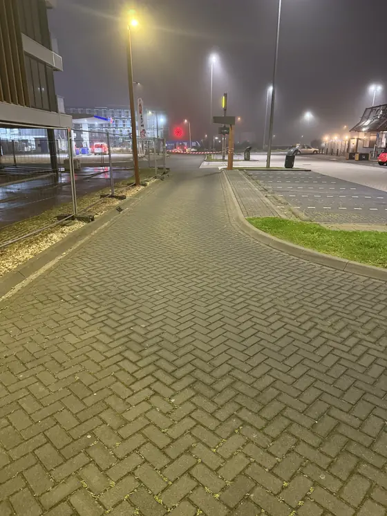 Vóór de reiniging: mos in de voegen