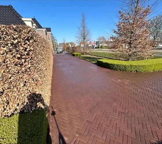 Gereinigd klinkerpad in visgraatverband langs een beukenhaag