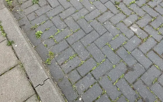 Bedrijfsbestrating voor de reiniging